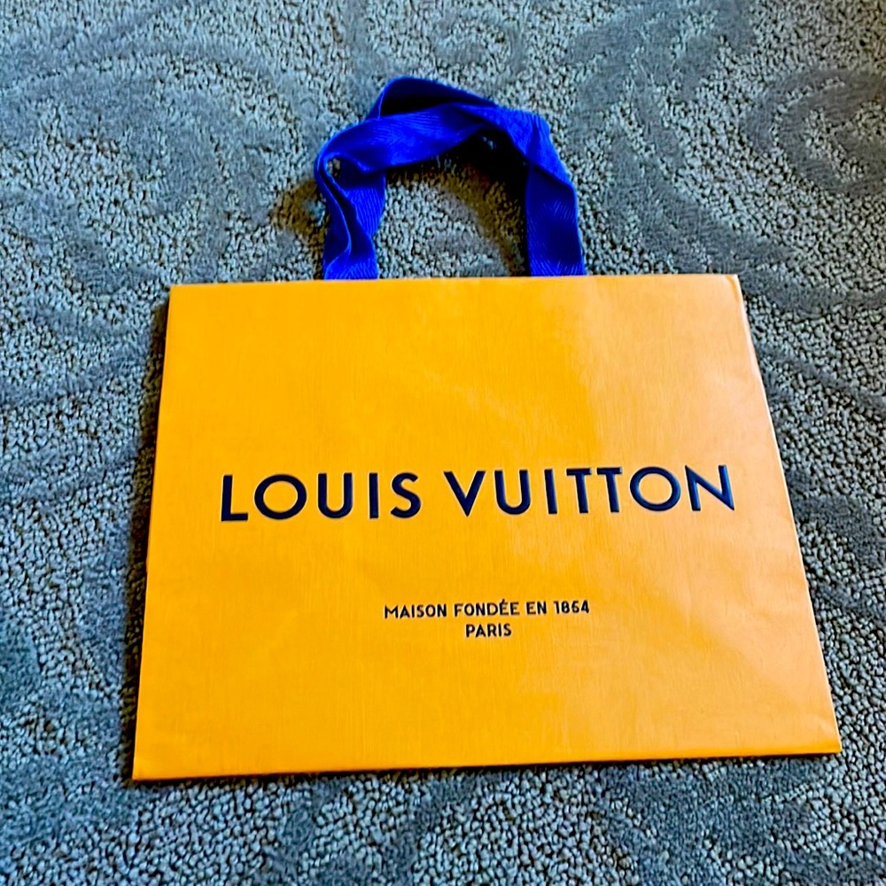 Louis Vuitton bag  10x 8